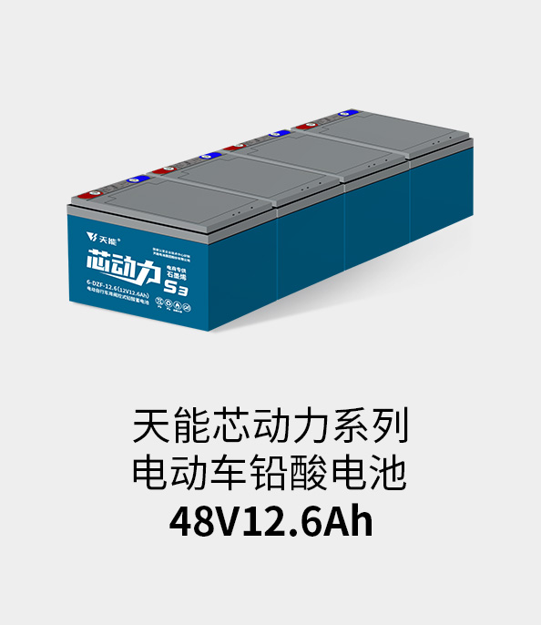 必发88(中国)有限公司官网电池48v12ah