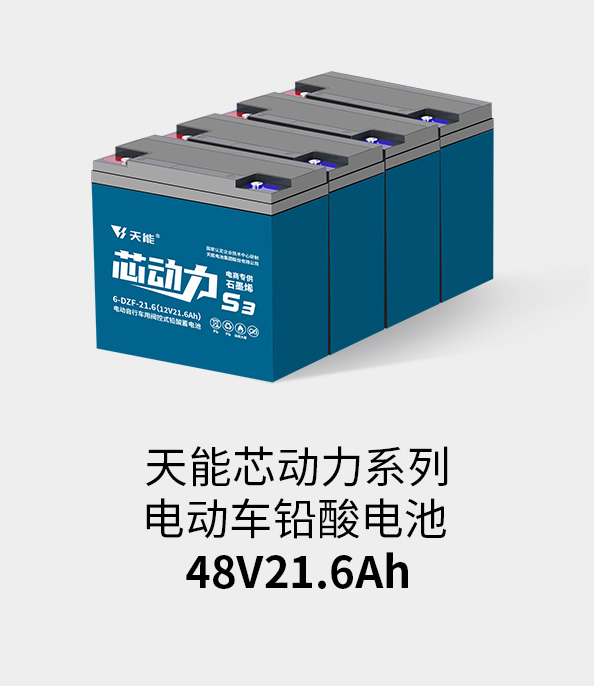 必发88(中国)有限公司官网电池48v20ah