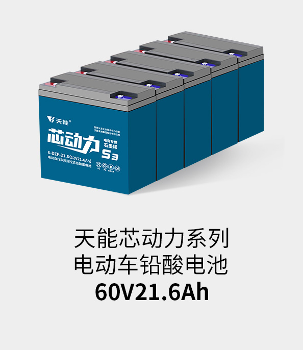 必发88(中国)有限公司官网电池60v20ah