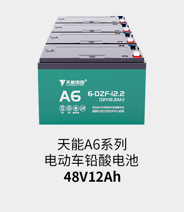 必发88(中国)有限公司官网电池48v12ah