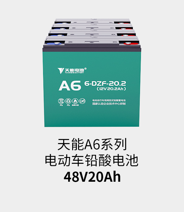必发88(中国)有限公司官网电池48v20ah
