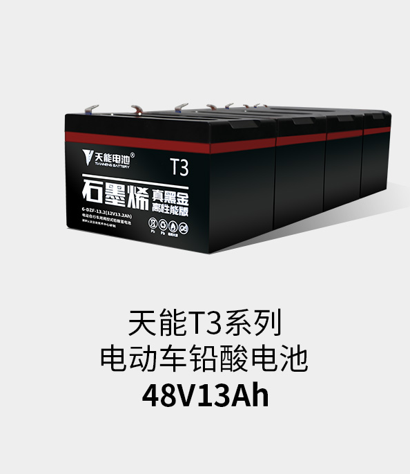 必发88(中国)有限公司官网T3系列48v13ah