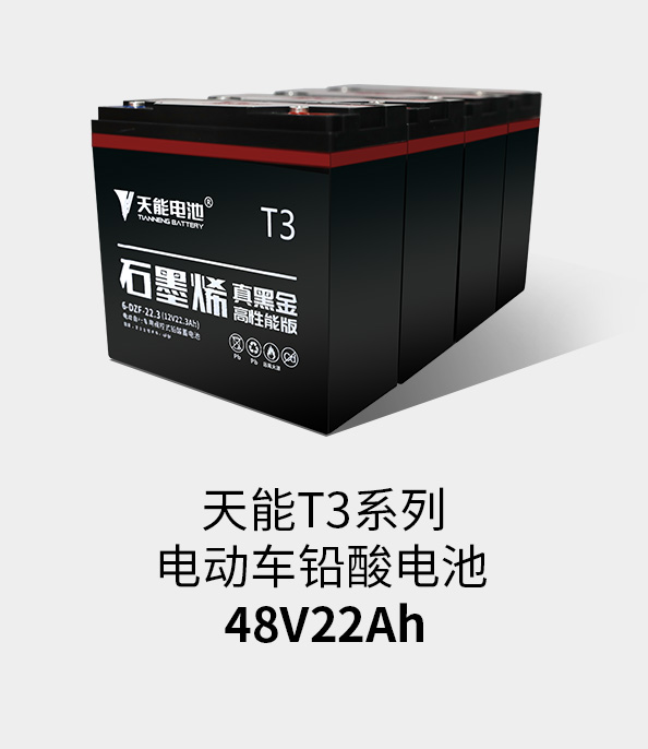 必发88(中国)有限公司官网T3系列48v22ah