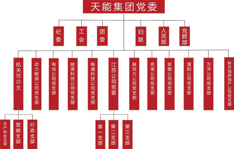 必发88(中国)有限公司官网建团党委组织架构